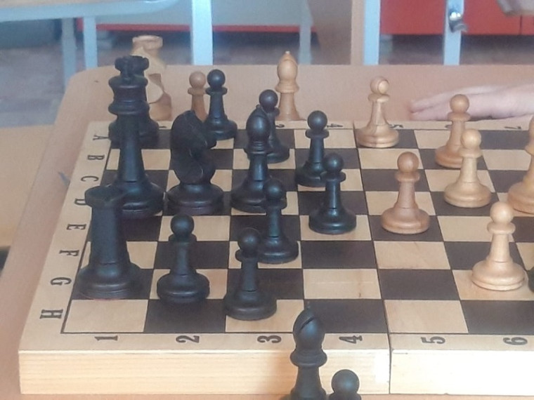 Школьный шахматный турнир.