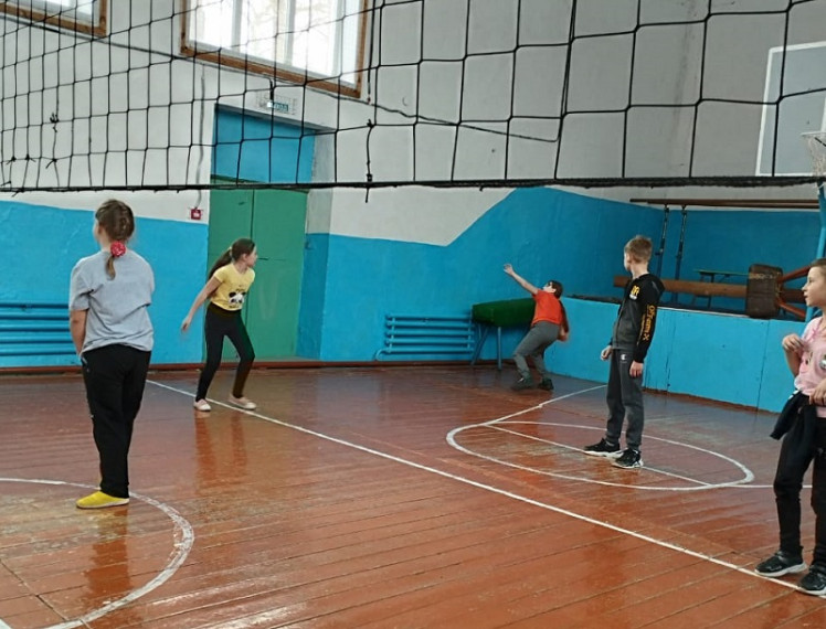 Соревнования по волейболу и пионерболу.